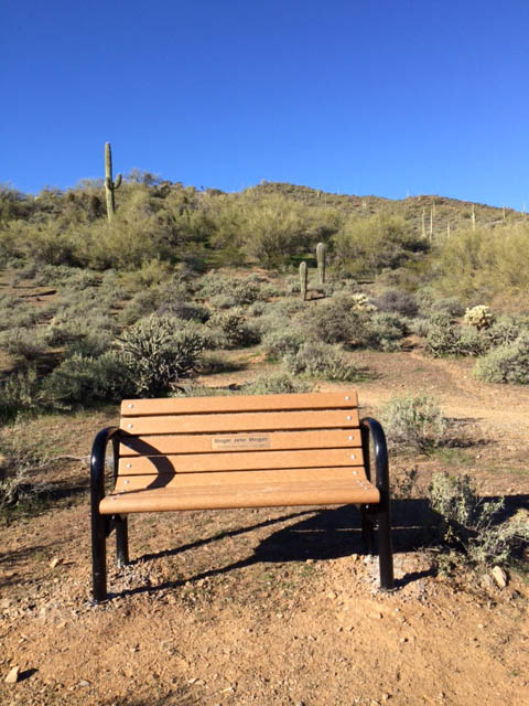 ginger bench on go john trail